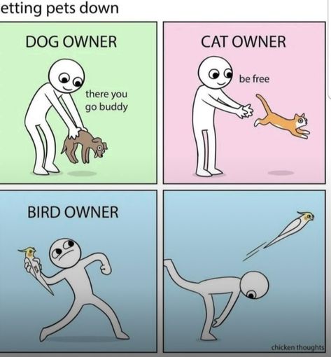 Bird Owner, Funny Animal Jokes, Dessin Adorable, Some Funny Jokes, Really Funny Joke, Animal Jokes, Cats And Dogs, Cute Comics, Really Funny Memes