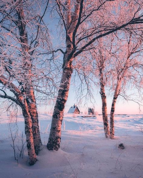 Winter Landscape Photography, Beautiful Leaves, Snow Photography, Winter Cabin, Winter Wallpaper, Winter Magic, Winter Scenery, Winter Beauty, Snow Scenes