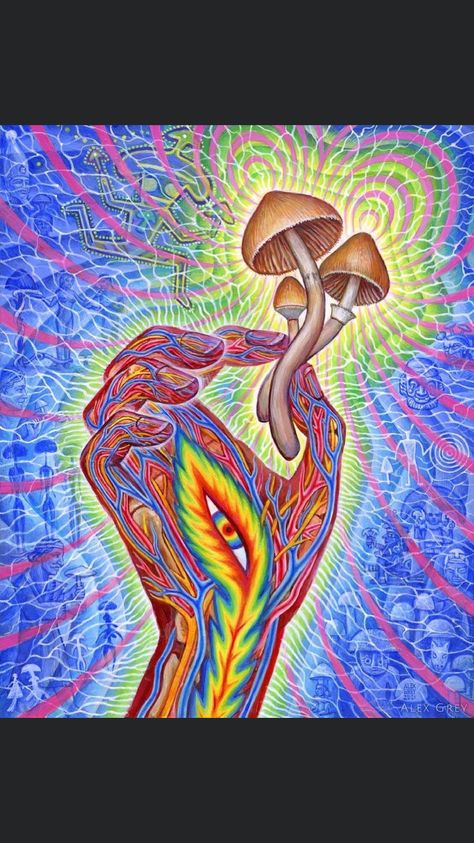 Alex Gray Art, Arte Yoga, Trippy Visuals, Alex Grey, Psychadelic Art, Psy Art, Spiritual Artwork, Arte Inspo, Mushroom Art