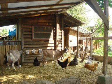 Goats And Chickens, Chicken Shelter, Goat Shelter, Goat Pen, Mini Goats, Tiny Farm, Goat House, Goat Care, Goat Barn