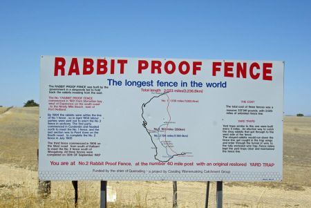 Rabbit Proof Fence, Rabbit Fence, Trix Cereal, Australian History, Land Of Oz, Australian Flora, Invasive Species, The Rabbit, New South Wales