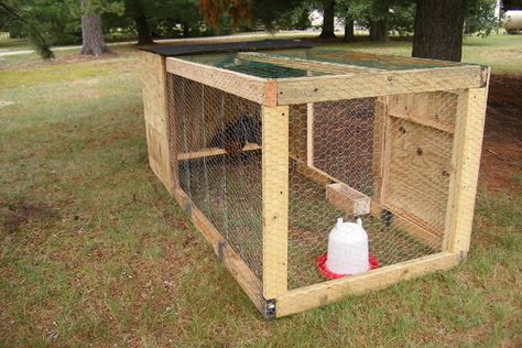 I spent the last 2 days building a grown out pen for the little ones to big for indoors, too... Pullets Chickens, Chick Brooder, Chicken Feeder Diy, Chicken Brooder, How To Raise Chickens, Chicken Pen, Chicken Club, Homestead Life, Chicken Coop Run