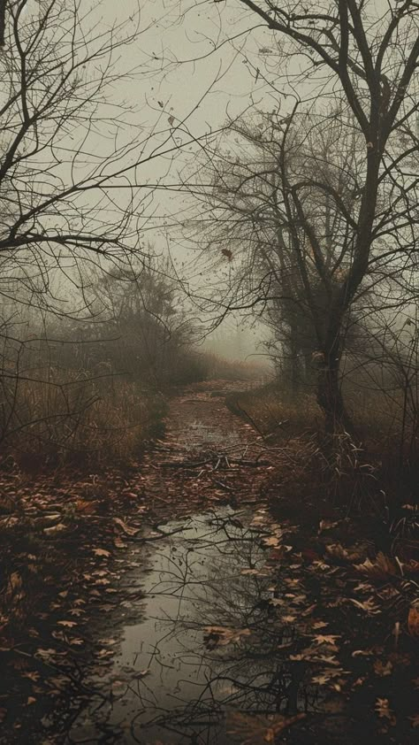 Old Landscape Photography, Brown Woods Aesthetic, Autumn Fog Aesthetic, Dark Autumn Vibes, Horror Asthetics Wallpaper, Moody Wallpaper Aesthetic, Foggy Fall Aesthetic, Dark Classic Aesthetic, Dark Americana Aesthetic