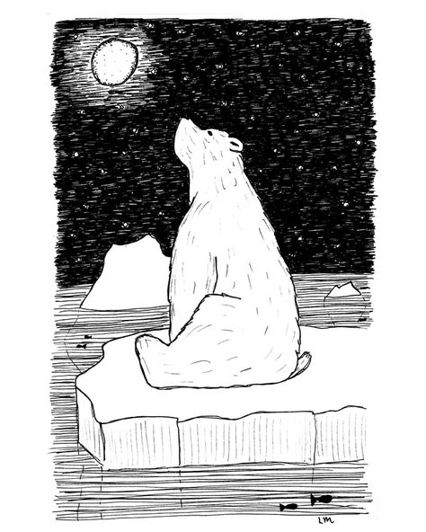 Polar Bear - Laura K Maxwell Polar Bear Linocut, Polar Bear Doodle, Converse Art, Polar Bear Drawing, Polar Bear Illustration, Bear Sketch, Polar Bear Art, Inktober 2024, Scene Drawing