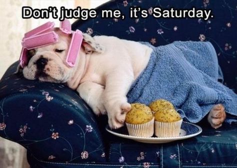 Saturday Morning Humor, Saturday Memes, Saturday Morning Quotes, Happy Saturday Images, Saturday Humor, Saturday Greetings, Saturday Images, Good Morning Happy Saturday, Saturday Quotes