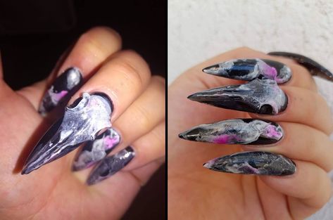 Long black stiletto nails - bird skull and smoke Bird Skull Nails, Long Black Stiletto Nails, Black Stiletto Nails, Nail Piercing, Skull Nails, Animal Skull, Bird Skull, Halloween Nail Designs, Halloween Nail