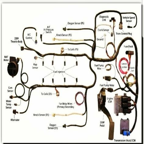 Electric Diffuser, Chevy Ls Engine, Cars Engine, Ls Engine Swap, Chevy Ls, Car Ecu, Electrical Circuit Diagram, Ls Swap, Automotive Mechanic