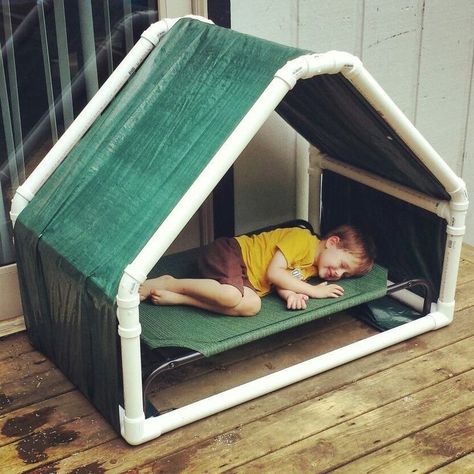 Stuffed Animal Zoo Diy Pvc, Pvc Dog House, Diy Elevated Dog Bed, Diy Projects Using Pvc Pipe, Pvc Pipe Furniture, Pvc Tent, Pvc Pool, Pvc Furniture, Pvc Canopy