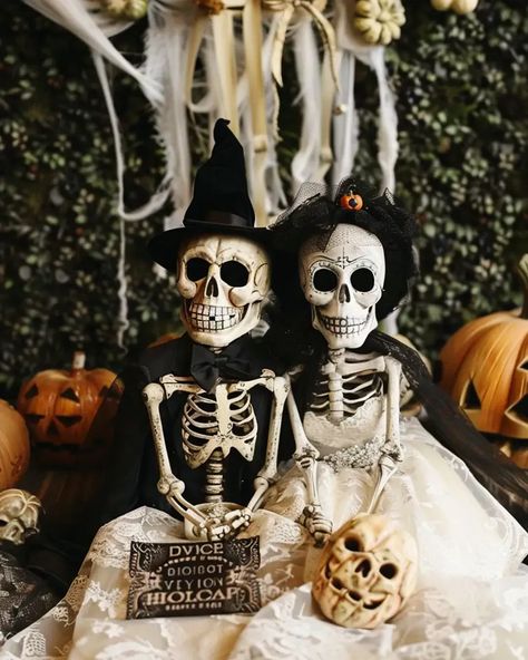 Embrace the spooky spirit with a Halloween wedding that celebrates love beyond the grave! Discover enchanting decor ideas that will make your special day unforgettable. Join our community for inspiration! #HalloweenWedding #SpookyLove #WeddingIdeas #FallWeddings Halloween Wedding Ideas, Halloween Weddings, Spooky Ideas, Wedding Themes Fall, Wedding Decor Inspiration, Wedding Forward, Spooky Decor, Unique Halloween, Ideas Halloween