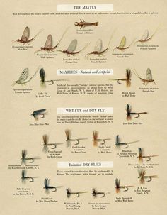 Gifts For Fishing, Fishing Poster, Knowledge Poster, Trout Fishing Tips, Fly Casting, Fishing Art, Interior Elements, Trout Flies, Custom Rods