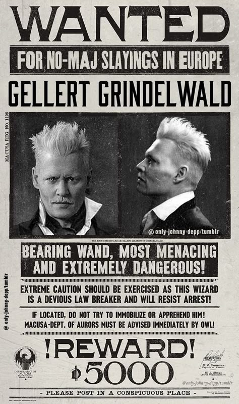 Harry Potter Newspaper, The Crimes Of Grindelwald, Imprimibles Harry Potter, Stile Harry Potter, Harry Potter Printables, Gellert Grindelwald, Harry Potter Poster, Crimes Of Grindelwald, Buku Harry Potter