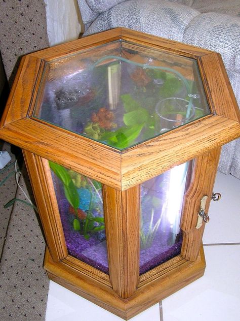 Building an Hexagonal Acrylic Aquarium Octagon Fish Tank, Diy Fish Tank Stand How To Build, Fish Tank Stands Diy Wood, Hexagon Aquarium, Custom Fish Tank Stand, Aquarium Coffee Table, Acrylic Aquarium, Aquarium Stand, Oak Coffee Table