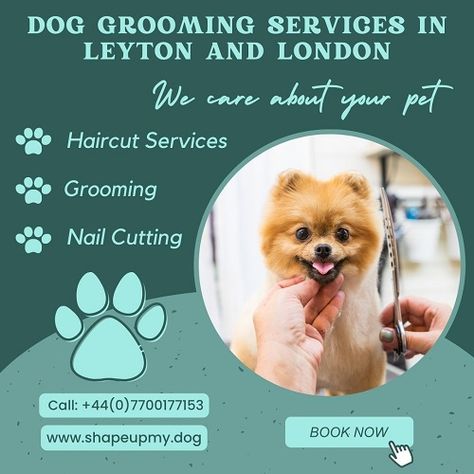 Get the best dog grooming services in Leyton and London with ShapeUpMyDog. We offer a wide range of professional services, including clipping, trimming, bathing and styling. Our experienced and dedicated groomers will ensure your pet is well-groomed and looking its best. Book an appointment today and get the ultimate pampering experience for your four-legged friend! For more detail visit our site. Dog Haircuts, Grooming Salon, Teeth Cleaning, Dog Hair, Pet Grooming, Dog Grooming, Pet Owners, Four Legged, Best Dogs