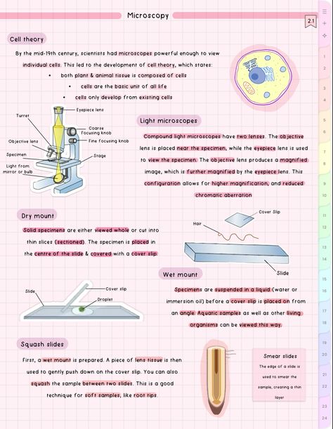 #cute #aesthetic #biology #notes #study #student Microscopy Biology Notes, Aesthetic Biology Notes, Microbiology Aesthetic, Aesthetic Biology, Microbiology Study, Gcse Biology, Bio Notes, Learn Biology, Microbiology Lab