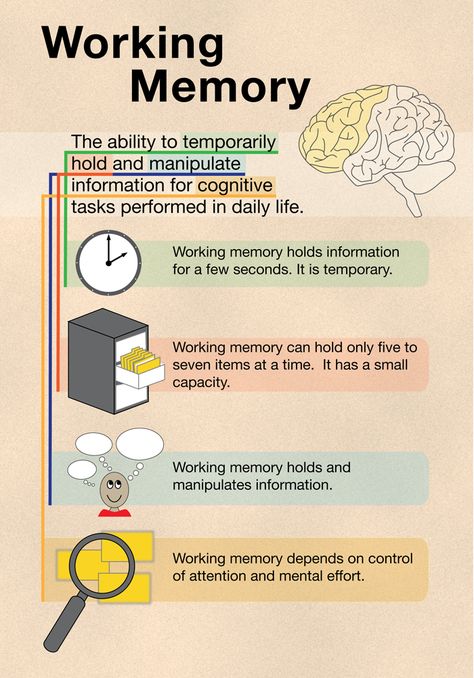 working memory components Memory Strategies, Brain Based Learning, Executive Functioning Skills, Learning Differences, Learning Tips, Working Memory, Differentiated Instruction, Executive Functioning, School Psychologist