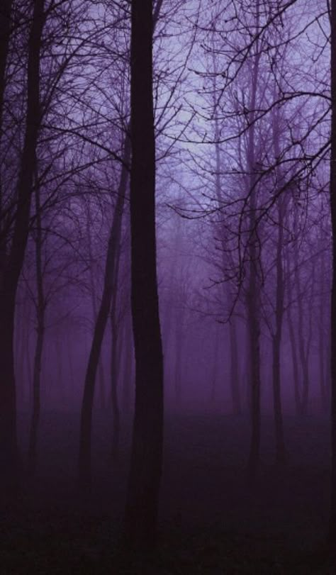 Purple Goth, Creepy Backgrounds, Purple Gothic, Violet Aesthetic, Iphone Wallpaper Aesthetic, Carpet Ideas, Purple Vibe, Gothic Wallpaper, Wallpaper Iphone Wallpaper