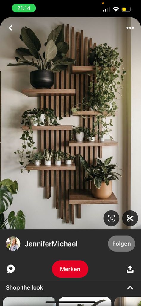 Plants Tv Wall, Plant Shelf Above Tv, Shelf Above Tv Living Room, High Shelf Decorating, Shelf Above Tv, Long Wall Shelves, Shelf Under Tv, Plant Ledge, Indoor Plant Wall