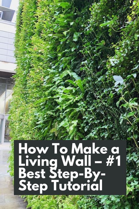 Transform your space with this #1 Best Step-By-Step Tutorial on creating a stunning living wall. Discover how to bring life and nature indoors using five keywords: living wall, tutorial, step-by-step, make, and space. This comprehensive guide provides descriptive details, helping you design and install a breathtaking vertical garden that will become the focal point of any room. IG Photo by: the_gardening_dentist Garden Plant Wall Ideas, How To Build A Living Wall, How To Make A Green Wall, How To Make A Living Wall, Living Walls Indoor, Living Wall Indoor Vertical Gardens, Living Plant Wall Indoors, Diy Living Wall Indoor, Living Wall Indoor Diy