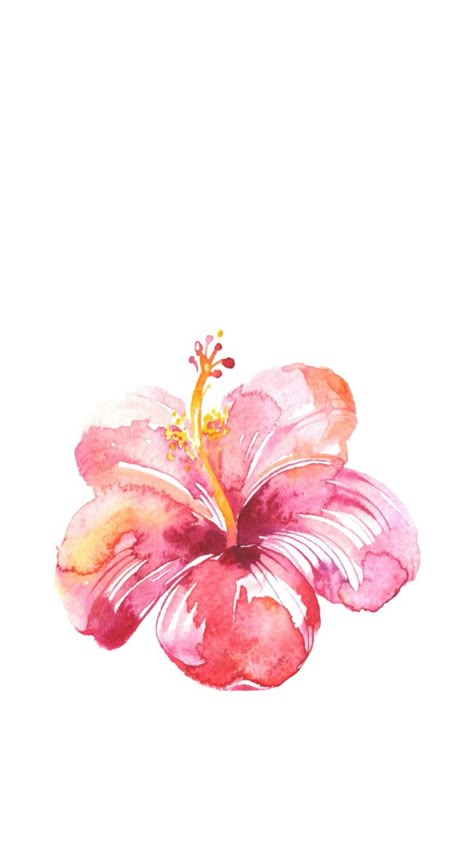 Wallpaper Ipad Horizontal, Hibiscus Flower Wallpaper Aesthetic, Summer Prints Wallpaper, Aesthetic Pink Wallpaper, Coastal Wallpaper, Cute Summer Wallpapers, Summer Wallpapers, Flowery Wallpaper, Cute Laptop Wallpaper