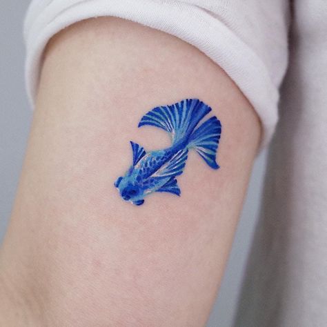 Ocean Tattoo Ideas, Sea Life Tattoos, Colored Tattoo, Seashell Tattoos, Ocean Tattoo, Shell Tattoos, Sea Tattoo, Ocean Tattoos, Blue Tattoo