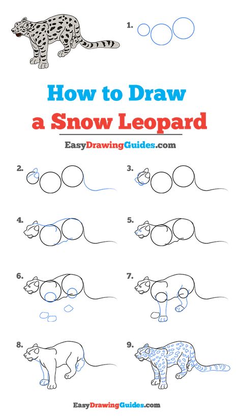 How to Draw a Snow Leopard - Really Easy Drawing Tutorial How To Draw Snow Leopard, How To Draw Panther, Leopard Craft, Leopard Walking, Snow Leopard Drawing, How To Draw Snow, Snow Leopard Art, Jungle Drawing, Leopard Drawing