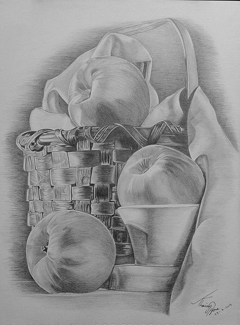 Shade Sketching, Fruit Basket Sketch, Stipling Drawings, Fruit Basket Drawing, Myanmar Mandalay, Flower Vase Drawing, Fruit Sketch, Basket Drawing, Fruits Drawing