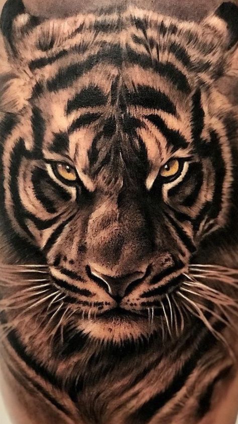 Tiger Face Tattoo, Tiger Head Tattoo, Art Tigre, Tiger Tattoo Sleeve, Wild Animal Wallpaper, Regnul Animal, Tiger Artwork, Tiger Tattoo Design, Tiger Drawing