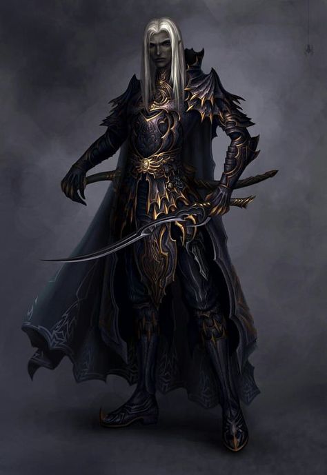 Drow Assassin, Drow Paladin, Drow Fighter, Shadow Elf, Female Drow, Mroczny Elf, Drow Male, Elf Warrior, Dark Elves