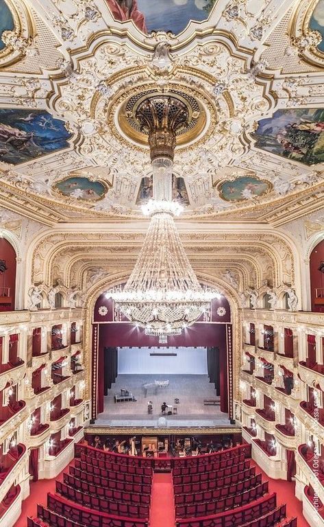 Small Home Theatre, Presentation Pictures, Theater Architecture, Majestic Theatre, Theatre Interior, Classical Interior, A Night At The Opera, Opulent Interiors, San Carlo