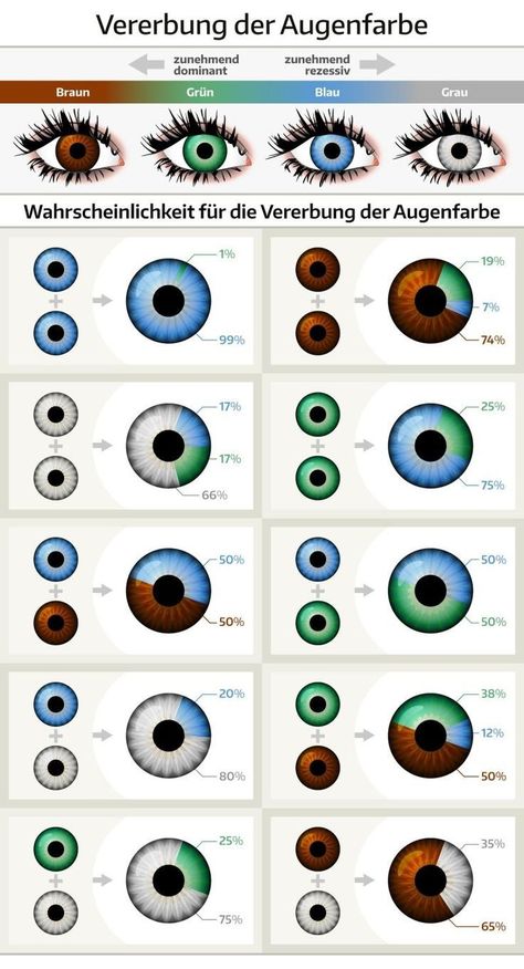 Eye Color Chart Genetics, Eye Color Chart, Eye Facts, Medical Knowledge, Gray Eyes, The More You Know, Eye Art, Pretty Eyes, Eye Shapes