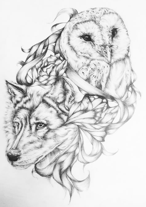 Owl and wolf Wolf Owl Tattoo Ideas, Owl Wolf Tattoo, Wolf Drawing Tattoo, Wolf Sleeve, Owl Tattoo Design, Wolf Tattoo Design, Owls Drawing, Wolf Drawing, Wolf Tattoos