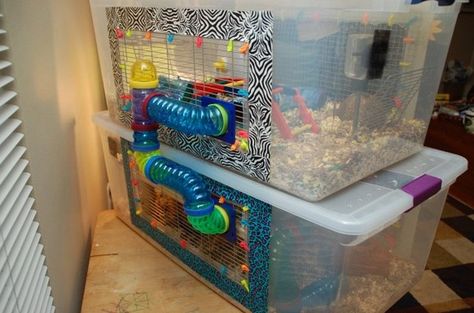 These DIY Guinea Pig Cage ideas won't just save you money, they'll make your cavy very happy! Hampster Cage, Diy Hamster Cage, Kandang Hamster, Hamster Bin Cage, Bin Cage, Hamster Diy Cage, Gerbil Cages, Diy Guinea Pig Cage, Mouse Cage