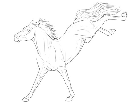 Horse Drawings Outline, Horse Drawing Template, Horse Bucking Drawing, Horse Drawing Ideas, Line Art Horse, Drawing A Horse, Horse Lineart, Horse Line Art, Horse Drawing Tutorial