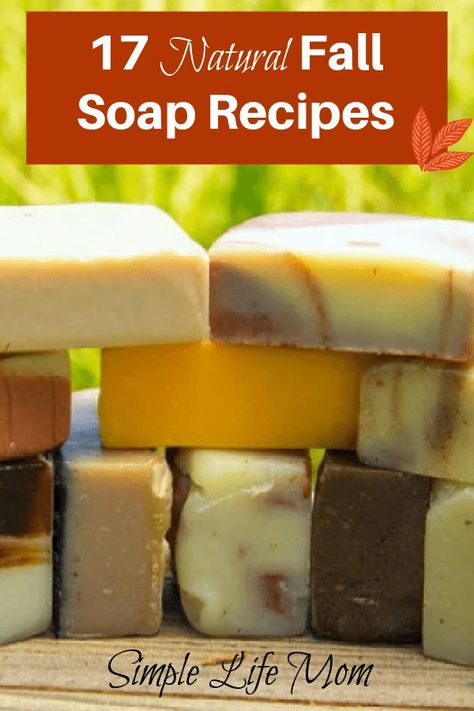 17 Fall Soap Recipes for Any Time of the Year - Simple Life Mom Fall Soap Recipes, Spiced Apple Cider Recipe, Cinnamon Soap, Recipes Only, Pumpkin Spice Soap, Tallow Soap, Fall Soaps, Apple Cider Recipe, Holiday Soap