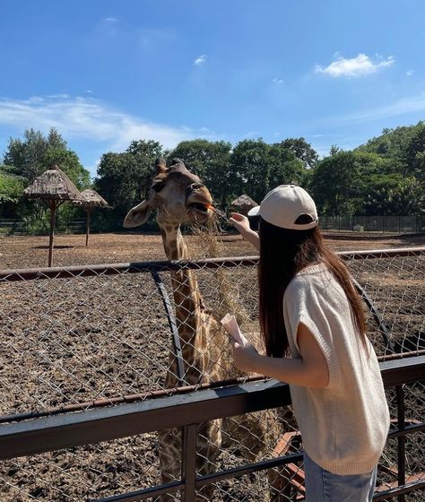 Outfit Ideas For Zoo Trip, Zoo Trip, Riding Helmets, Outfit Ideas, It Cast, Ootd, Outfit Inspo, Photography, Quick Saves