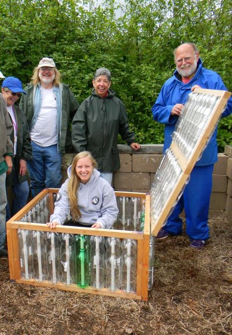 Bottle Greenhouse, Plastic Bottle Greenhouse, Greenhouse Kitchen, Diy Greenhouse Cheap, Cheap Greenhouse, Volunteer Training, Best Greenhouse, Greenhouse Interiors, نباتات منزلية