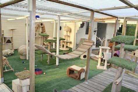 Cat Room Decor, Cat Patio, Cat Hotel, Cat Houses, Outdoor Cat Enclosure, Cat House Diy, Cat Run, Pet Resort, Cat Sanctuary