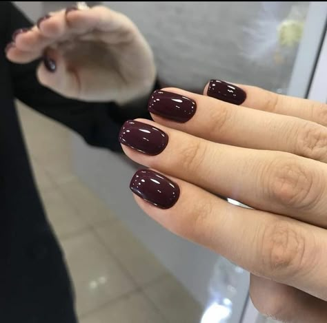 Short Gel Nails Dark Colors, Short Fall Nails 2024 Trends, Plum Gel Nails, Fall Nails Burgundy, Gel Shellac Nails, Vampy Nails, Nails Burgundy, Plum Nails, Quartz Nails