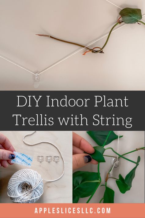 Indoor Plant Wall Trellis, Indoor Pothos Trellis, Diy Trellis Indoor, Indoor Climbing Plant Support Ideas, Diy Indoor Plant Trellis Ideas, Trellis Ideas Indoor Plants, Pathos Wall Climbing Ideas, Indoor Trellis Wall, Pathos Plant Trellis