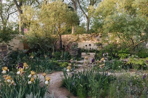 Chelsea Flower Show 2023, Chelsea 2023, Hamptons Garden, Sarah Price, British Garden, Fragrant Plant, Contemporary Garden, Garden Show, Small Outdoor Spaces