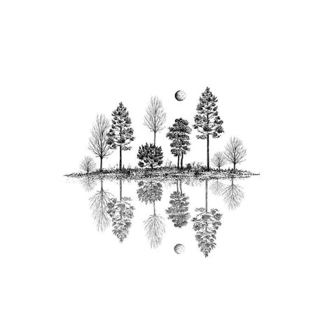 Tree Drawing Black And White, Reflection Tattoo, Reflections Art, White Pine Tree, Drawing Black And White, Drawing Nature, Reflection Art, Minimalist Drawing, Drawing Black