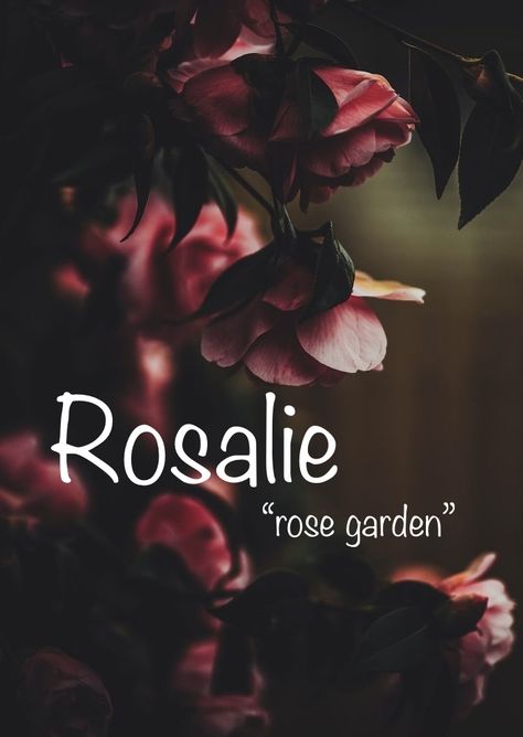 Rosalie Name Meaning, Rosalie Aesthetic, Mystical Names, Exotic Names, Fantasy Character Names, Female Character Names, Planner Logo, Sweet Baby Names, Fantasy World Map