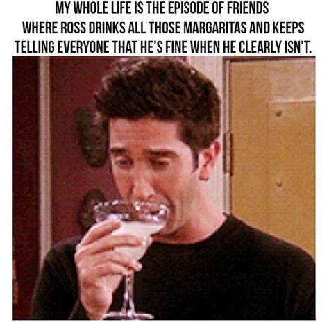 Ross is boss!!! (@boywithnojob) Friends Episodes, Friends Moments, Friend Memes, My Whole Life, Friends Tv Show, Friends Tv, What’s Going On, Best Shows Ever, Bones Funny