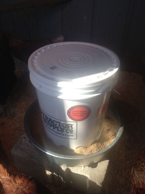 My $10 30# chicken feeder. A five gallon bucket with lid, a 3 1/2 gallon hog pan, 3 bolts, nuts, and washers. Drill 1 1/2 holes around the base of the bucket, bolt the pan to the bottom of the bucket with the 3 bolts, in a triangle pattern, fill with feed and place on a base or hang. A little elbow grease and as good a feeder for half the price. If you're really thrifty, you can probably find the suitable parts around your homestead! Homemade Chicken Feeders, Easy Diy Chicken Feeder, Homemade Chicken Feeder, Duck Waterer, Pvc Chicken Feeder, Chicken Water Feeder, Chicken Aesthetic, Bird Feeder Station, Bird Feeder Stands