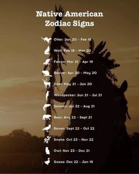 Today Horoscope, Native American Quotes, Horoscope Reading, American Symbols, Zodiac Society, Zodiac Signs Horoscope, Zodiac Signs Funny, Les Chakras, Zodiac Star Signs