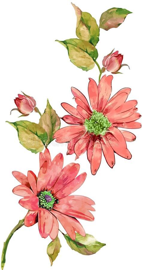 Flowers Drawing Aesthetic, Draw Flowers Watercolor, Beauty Vector, Sketch Outline, Drawing Aesthetic, Botanical Flower Art, Aesthetic Color, Flowers Drawing, Folk Art Flowers