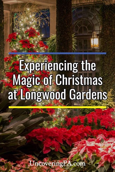 Experiencing the Magic of Christmas at Longwood Gardens in Kennett Square, Pennsylvania via @UncoveringPA Longwood Gardens Christmas, Philadelphia Magic Gardens, Kennett Square Pa, Pennsylvania Travel, Longwood Gardens, Modern Garden Design, Heart To Heart, Holiday Events, The Magic Of Christmas