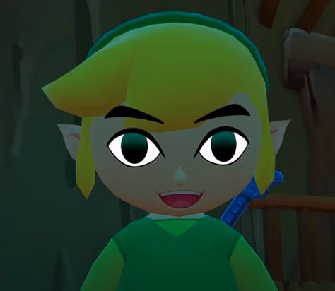 Wind Waker Link, Link From Zelda, Link Gif, Toon Link, Shigeru Miyamoto, Poke Ball, Youre Crazy, Link Zelda, Wind Waker