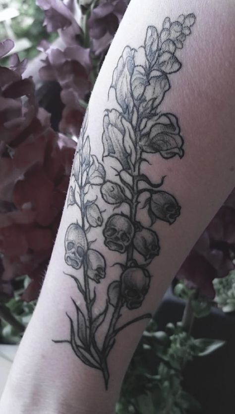 Hades Flower Tattoo, Dried Snapdragon Tattoo, Snap Dragons Tattoo, Skull Snapdragon Tattoo, Dragon Snap Flower Tattoo, Snapdragon Flower Tattoo, Snapdragon Skull, Alternative Flower Tattoo, Shelf Mushroom Tattoo