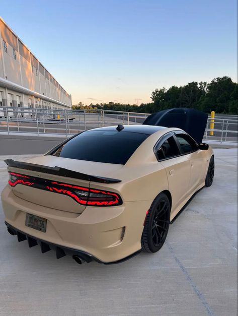 Wrapped Dodge Charger, Charger Car Dodge, Custom Dodge Charger, Dodge Charger Wrap Ideas, Dodge Chargers, Doge Challenger, Dodge Charger Hellcat, Dodge Charger Srt, Dream Cars Mercedes